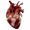 you kill me everytime　/　　☆