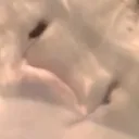 いろいろサーバー