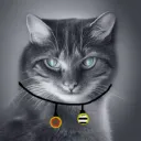 EpicCatz