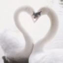 🌸~!~sugar babies~!~🌸 Server Icon