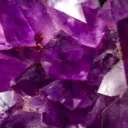 Fragment SMP