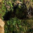 Lush Cave