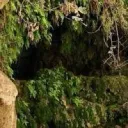 Lush Cave discord icon