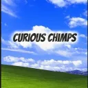 Curious chimps