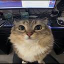 the very sexy and hot server thats very sexy and hot Discord Server Icon