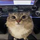 the very sexy and hot server t... Discord Server Icon