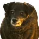 Higher-er Learning Discord server icon