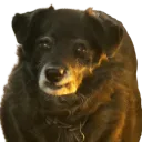 Higher-er Learning Discord server icon