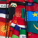 The Flag Collecting and Showcase Discord (TFCS)