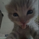 Feet sellers and buyers