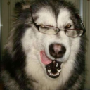 nyantopia ☆ creative center Discord server icon