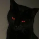 Portfólio DARK