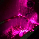 ╱      venom Discord server icon