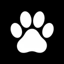 Pawlight Interactive