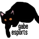 Gabe Esports
