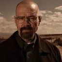 The Albuquerque Cartel