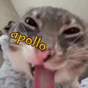 Servidor do Apollão
