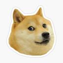 Dogeland