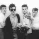 ( ᴗ ̫ ᴗ )　This Charming Server ! ﹐　⋌ Discord server icon