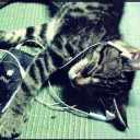 ཀ◞         soundproof            ཋྀ avatar