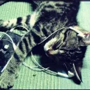 ཀ◞         soundproof            ཋྀ