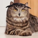 Maryland Nerds Discord server icon