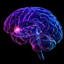 BrainHub