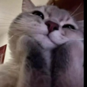 silly furries <3 Discord server icon