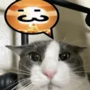 Neko Circus