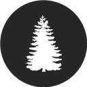 WoodCarver State Roleplay | ER:LC Discord Server Icon