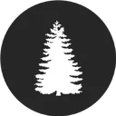WoodCarver State Roleplay | ER:LC