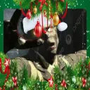 The Zombies Story: Retold