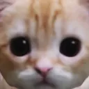 MichaelBananeado Server