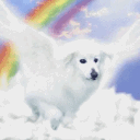 ꔫ   ₊     ᴘᴜᴘ’ꜱ ᴘɪʟʟᴏᴡꜰᴏʀᴛ﹒ ꒱