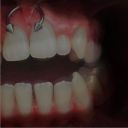 𓄧 | |ＣＡＮＩＮＥＳ ⊹ 𐂯 | | Discord server icon