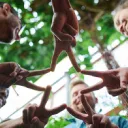 Young Caregivers Support Group