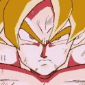 Dragon Ball International