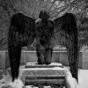 /souls ♱