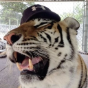 Tank's Home Server Discord server icon