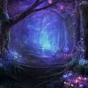 The Magical forest