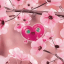 ୨ৎ    roყaltყ fn