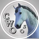 Crystal Witches Order OS