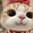 ‧ ︵‿₊୨୧₊‿︵ ‧ ˚ ₊🩷⋮ ꒰ Elle's house꒱⋮🌷                ︶⊹︶︶୨୧︶︶⊹︶