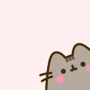 ✦　﹒　𖨂　fuutsies ∘ ◟ ˙. pusheen