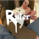 /ruler