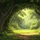 Tryout DND Discord server icon