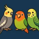 🦜Plume & Compagnie🦜