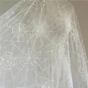 veil