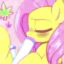 ʚ melody sanctuary ɞ Discord server icon