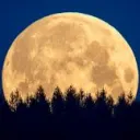 The Way of the Moon